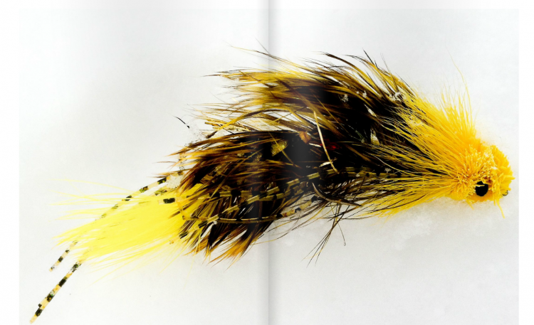 Southern Culture On The Fly #5 Southern Culture On The Fly #5