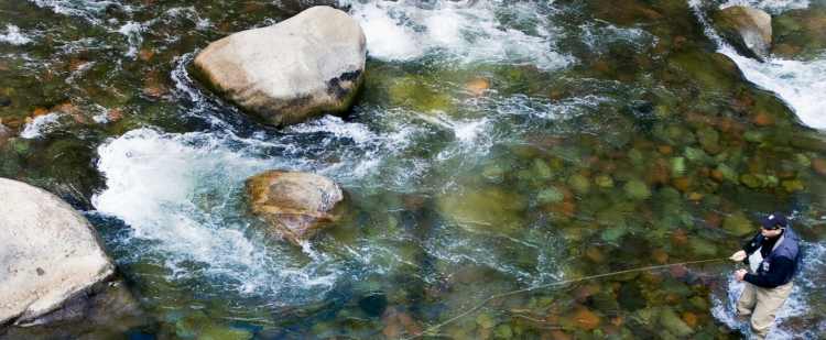 Southern Culture On The Fly #5 Southern Culture On The Fly #5