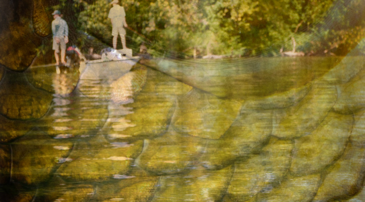 Southern Culture On The Fly #5 Southern Culture On The Fly #5