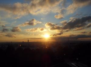 Petite pensée ensoleillée deviendra grande (plus tard) Petite pensée ensoleillée deviendra grande (plus tard)