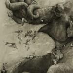 artprizewinner06 artprizewinner06