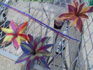 Stages de filage,feutrage à Peronne : nouvelle date sta11