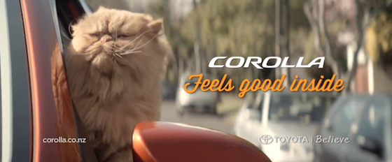 Toyota Corolla : Chat alors, ils sont félins pour l’autre
