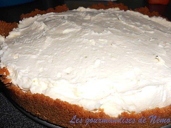 cheesecake-sans-cuisson--3-.JPG