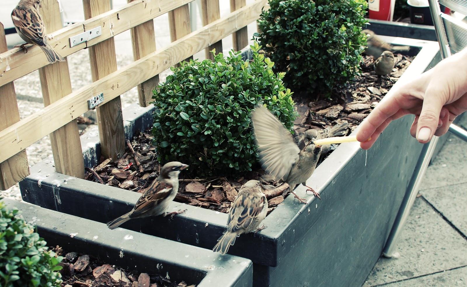 Le quartier du Mitte ☆ Week-end à Berlin #2 ☆ Le quartier du Mitte ☆ Week-end à Berlin #2 ☆