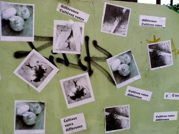 photo1.jpg, oct. 2012 photo1.jpg