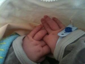 302545_4131863813563_421236887_n Naissance de Matisse