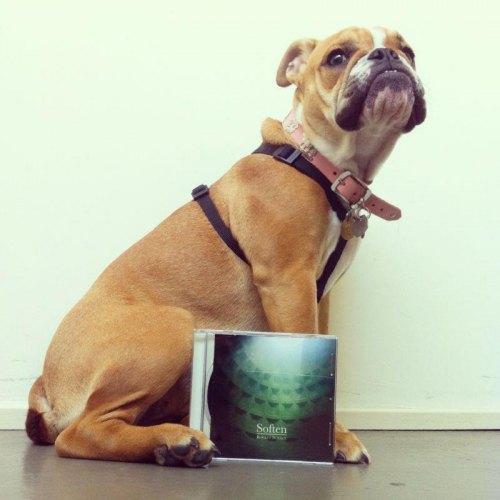 Soften 2244565437 Soften