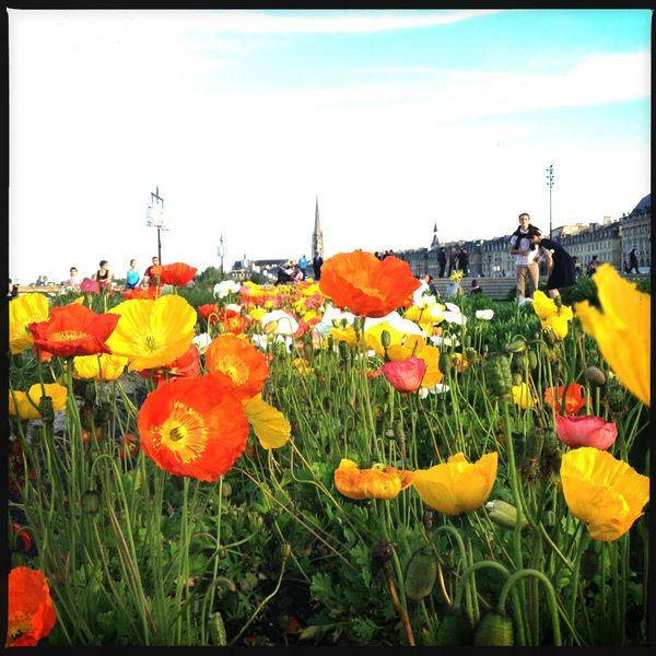 Bordeaux en Iphoneographie... IMG_4347