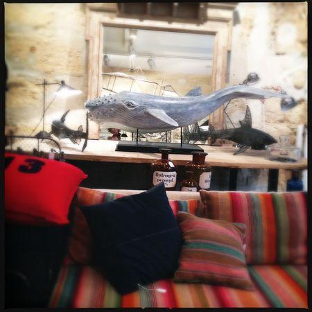 Bordeaux en Iphoneographie... IMG_7812