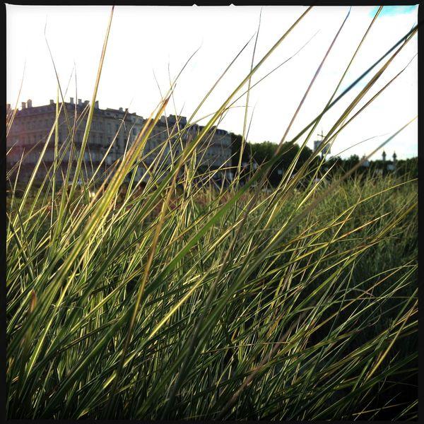 Bordeaux en Iphoneographie... IMG_4346