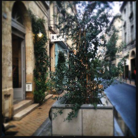 Bordeaux en Iphoneographie... IMG_7810