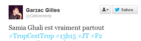 Marseille , 2014 , c'est déja l'exitation des prétendants marseillegaudin,paca,ps13,guerini,dumontel,ghali,hollande,caselli,mennucci,2013,justice,corruption,fr3,ardisson,campagne,2014,impots,vauzelle,mediterranee