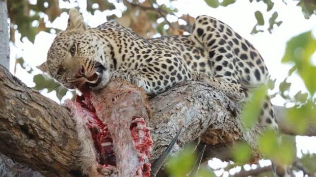 Namibie Namibie