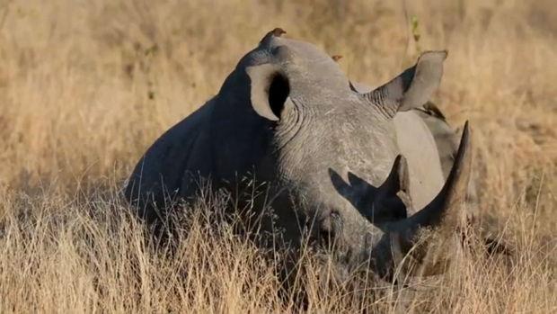 Namibie Namibie