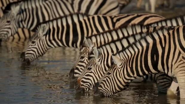 Namibie Namibie
