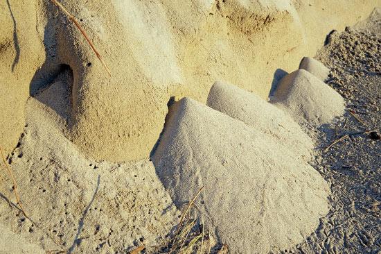 La dune de Santec après la grande marée La dune de Santec après la grande marée