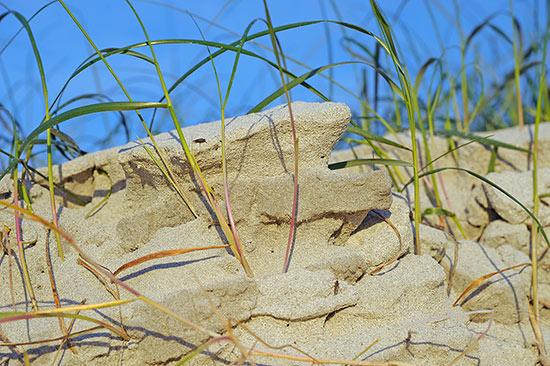 La dune de Santec après la grande marée La dune de Santec après la grande marée