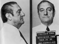 Portrait des 5 familles de la Mafia de New York (histoire constamment réécrite)