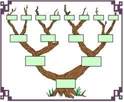 arbre g2 Découvrez la généalogie
