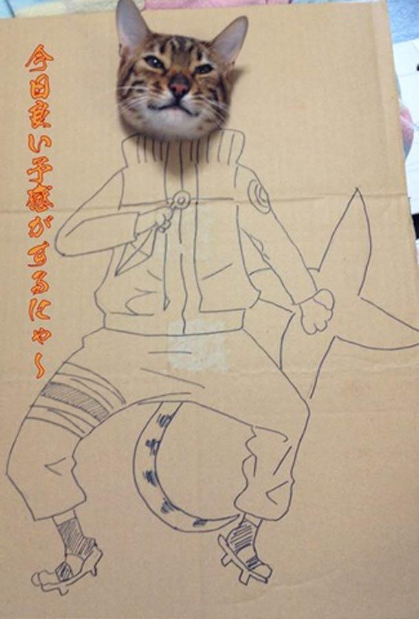 Cardboard Cat