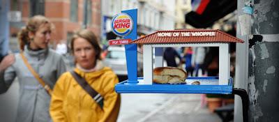 Burger King pour les oiseaux