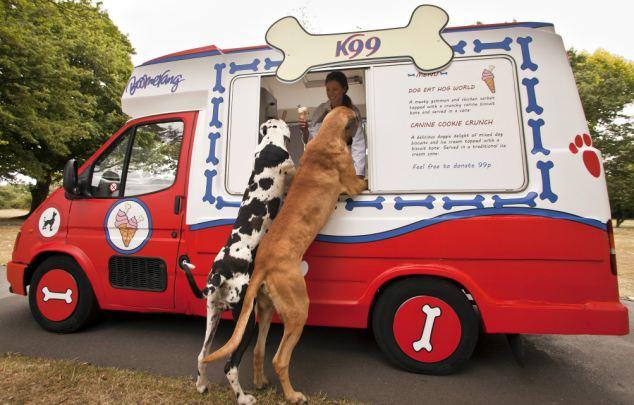 Food Truck pour chiens chauds !