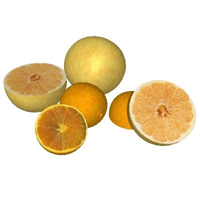 Recette de shampoing naturel anti-poux à l’huile essentielle de citron