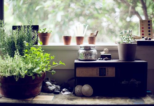 17julie Une maison en accord parfait avec la nature