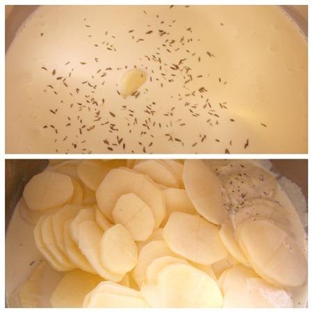 gratin_champignon gratin_champignon