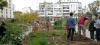 Jardins partagés : comment créer son jardin bio... en ville !