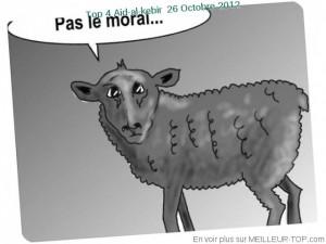 aid Bon week-end de fête…..avant de revenir à la réalité!