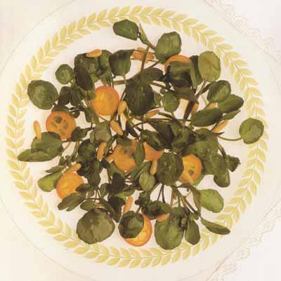 Salade de cresson de fontaine aux kumquats dorés et pignes de pin grillés