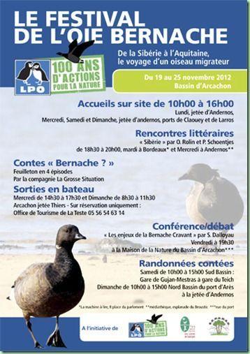 flyer bernache flyer bernache