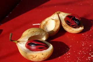 IMG_7203 Il y a près de 30 ans l’Opération Urgent Fury à la Grenade !