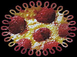 Crème catalane aux framboises crème catalane aux framboises