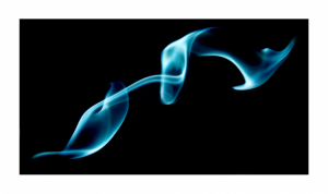 J’observe J’observe