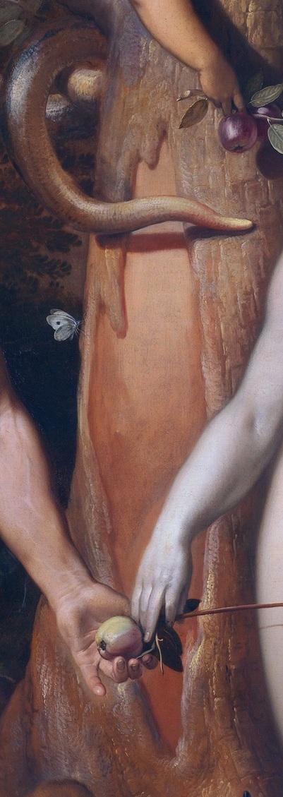1592_Cornelis_van_Haarlem_-_La Chute de l'Homme_crevasse