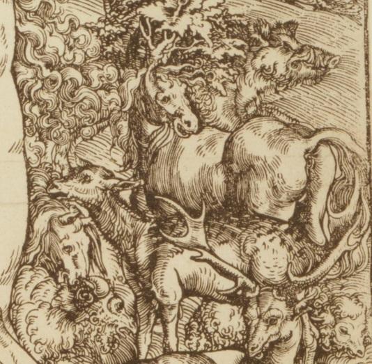 1509_Adam_Eve_Cranach_detail