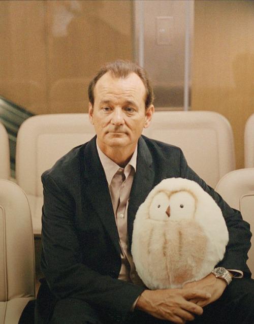 Bill Murray in Wes Anderson's movies