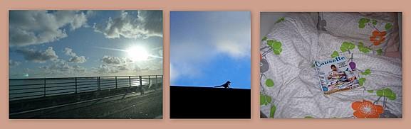 Instant T. #59# INSTANT T 58 (6)