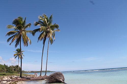 Over booker !!!! construction-6881.JPG