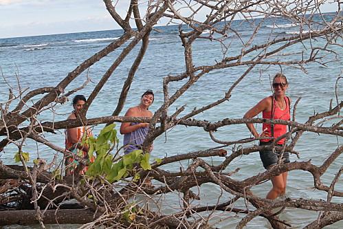 Over booker !!!! construction-6890.JPG