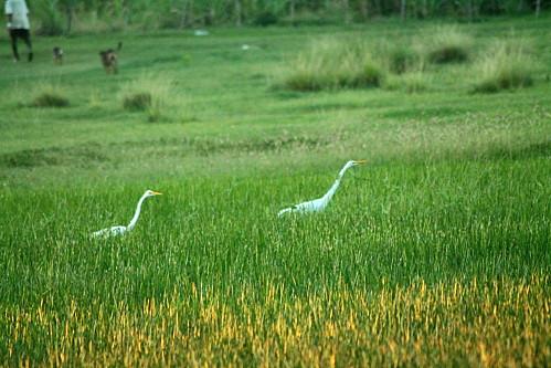 Over booker !!!! construction-6900.JPG