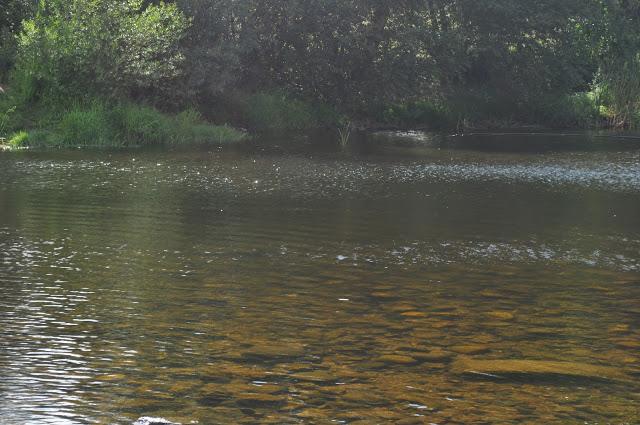 Ribeira de Pena Ribeira de Pena