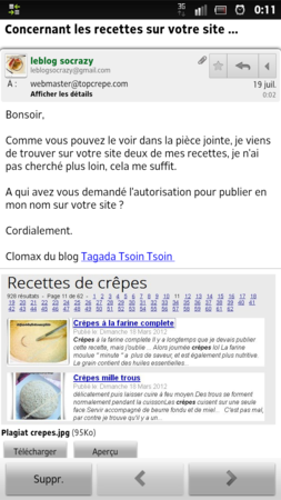 Une petite liste de plagiaires sur le net ... screenshot_2012-07-19_0011