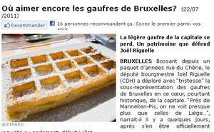 Une petite liste de plagiaires sur le net ... gaufreC