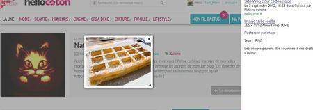 Une petite liste de plagiaires sur le net ... Gauffres