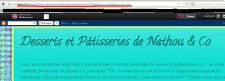 Une petite liste de plagiaires sur le net ... nathou cuisine2