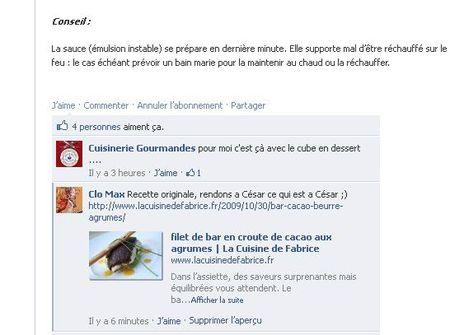 Une petite liste de plagiaires sur le net ... Denis Devilliers